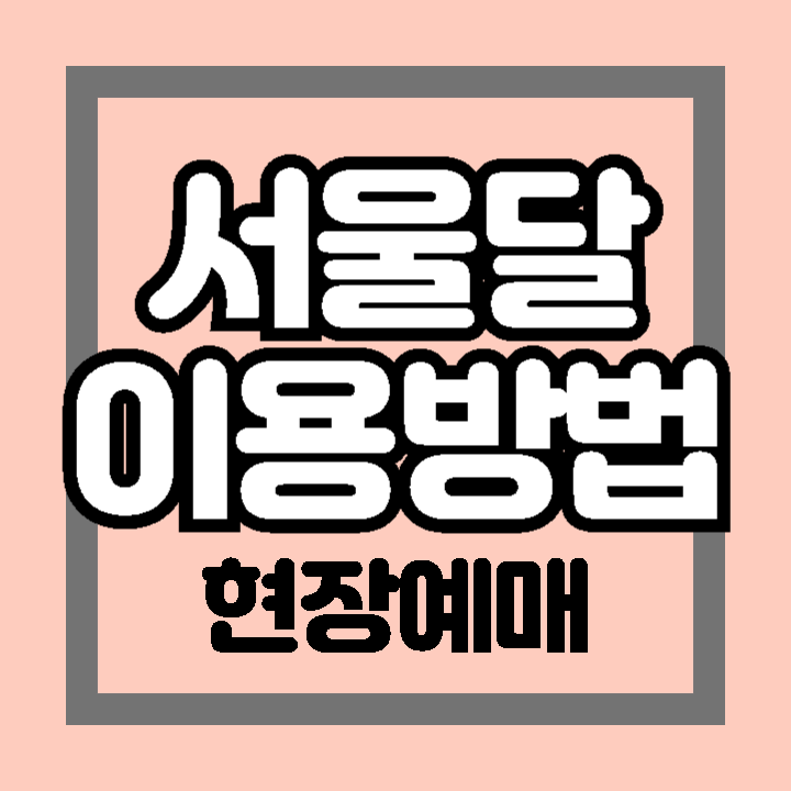 서울달 SEOULDAL 이용 방법 예약 현장발권 할인 운영시간 이용료