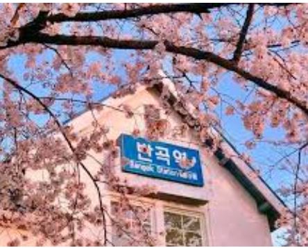 원주 필수 