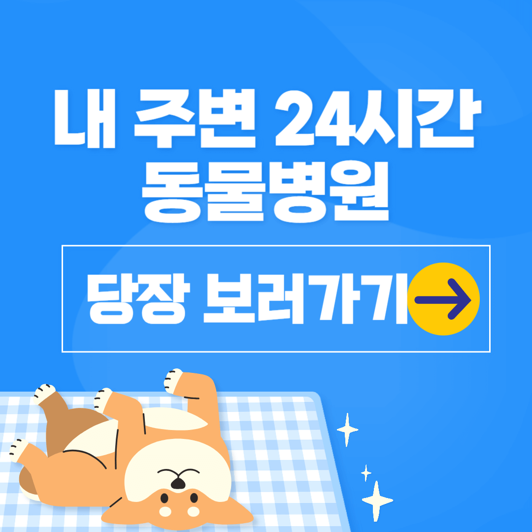 부산 24시간 진료하는 동물 병원 찾는 방법 알아보기(전국 24시간 동물병원)