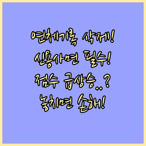 연체 기록 삭제 신용사면 적용 조건과..