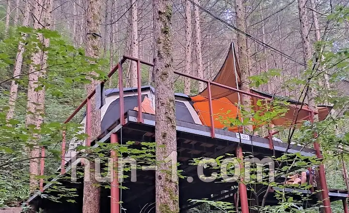 설날(명절) 선물 추천(감동+실용성) ,캠핑선물