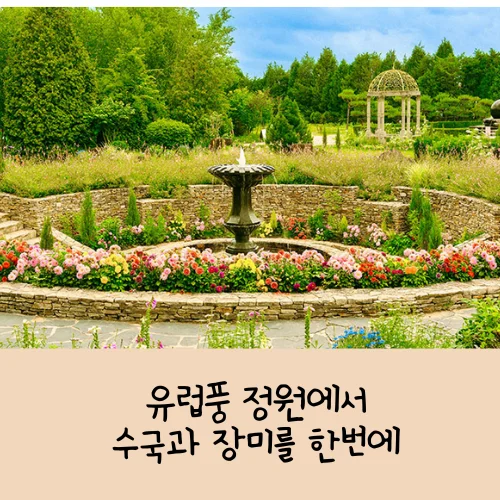 파주 벽초지수목원 수국·장미 축제