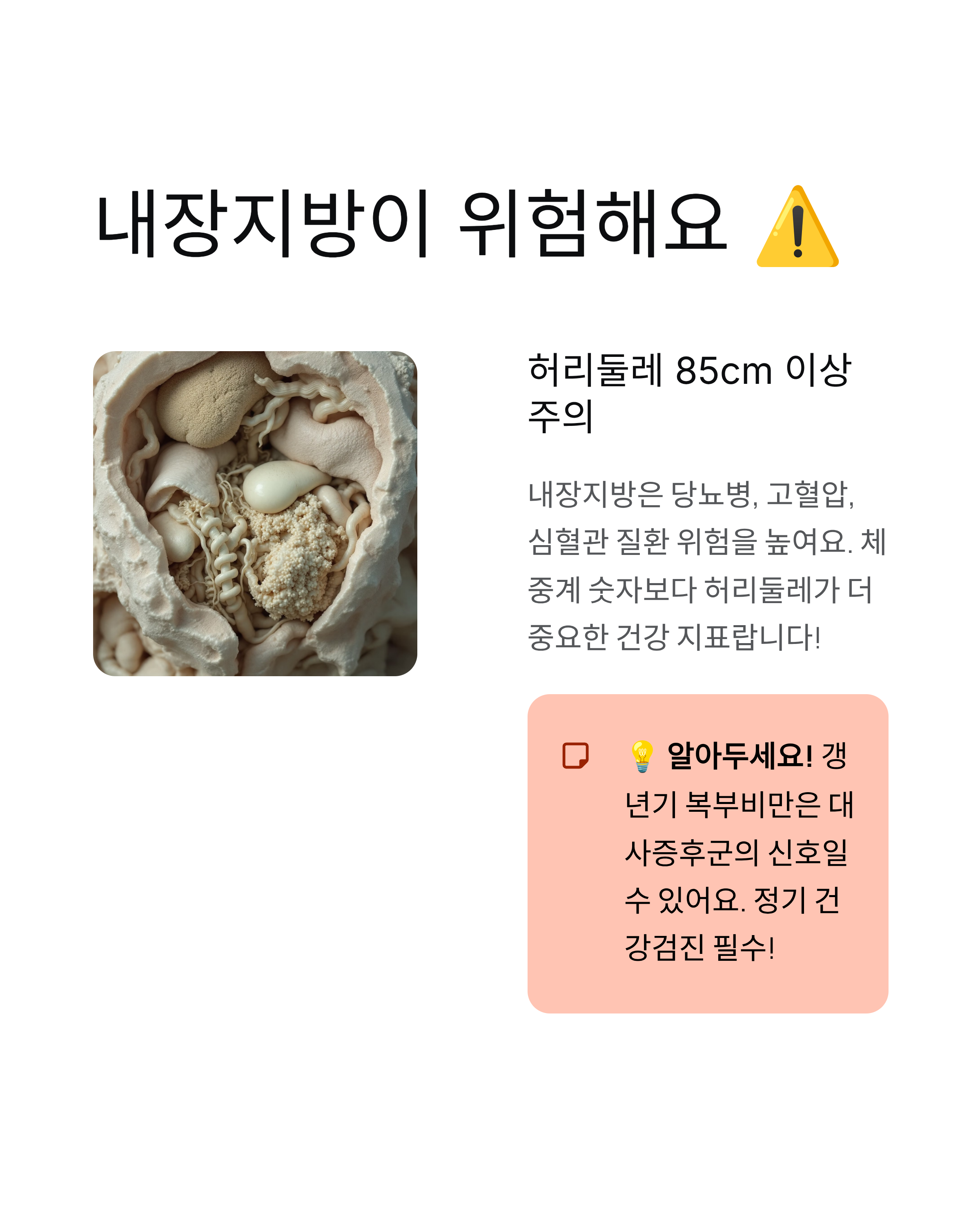 갱년기 체중증가 - 살찌는 이유와 뱃살 빼는법 완벽 정리! 🌸