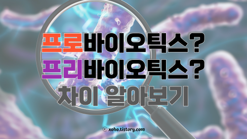 프로바이오틱스와 프리바이오틱스의 차이