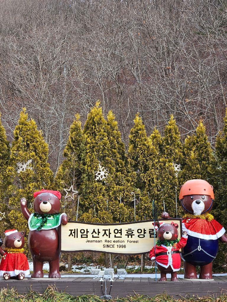 보성 가볼만한곳 베스트10