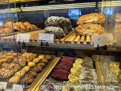 르봉뺑-다양한-베이커리-진열장모습