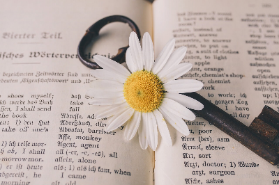 철학자의 하루 - 철학자들의 '하루 한 문장'습관, 사유를 생활에 심는 법