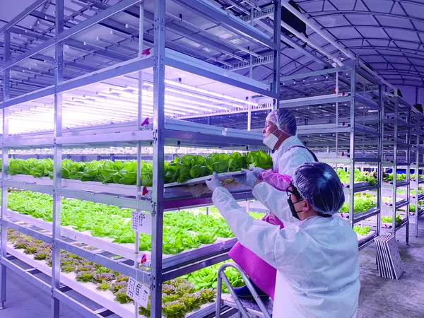 농업 교육 수강 농업기술센터 온라인 강좌 자격증 실습 정보_2