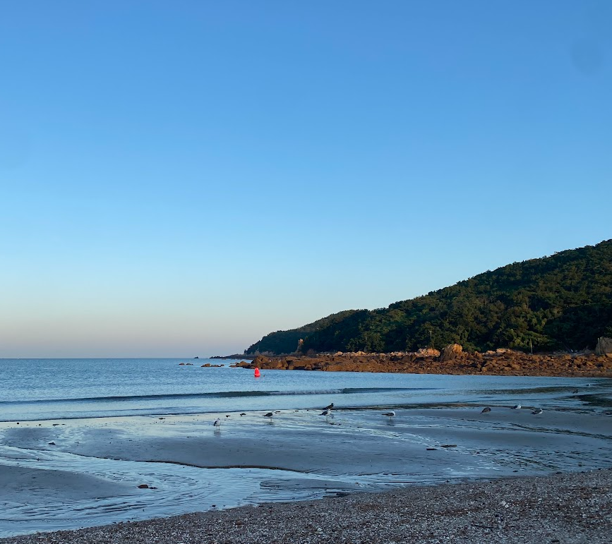 전남 고흥에서 흙 밟고 힐링! 맨발 걷기 찐 추천 코스