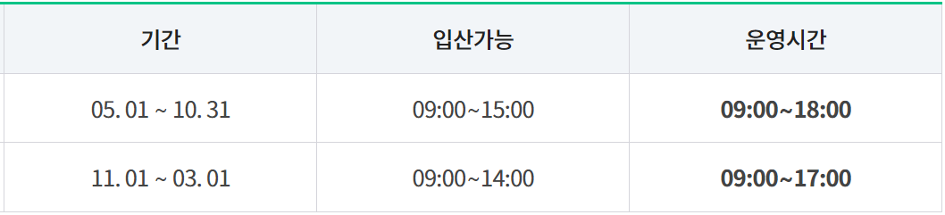 인제 자작나무숲