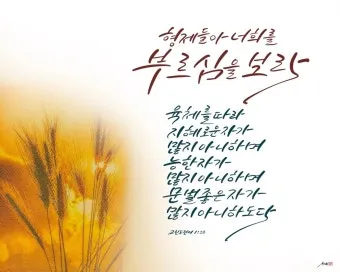 고린도전서 1장 인사와 감사 말씀 강해 설교_22