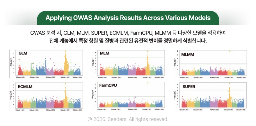 GBS와 RAD-seq 차이점 GWAS 모델