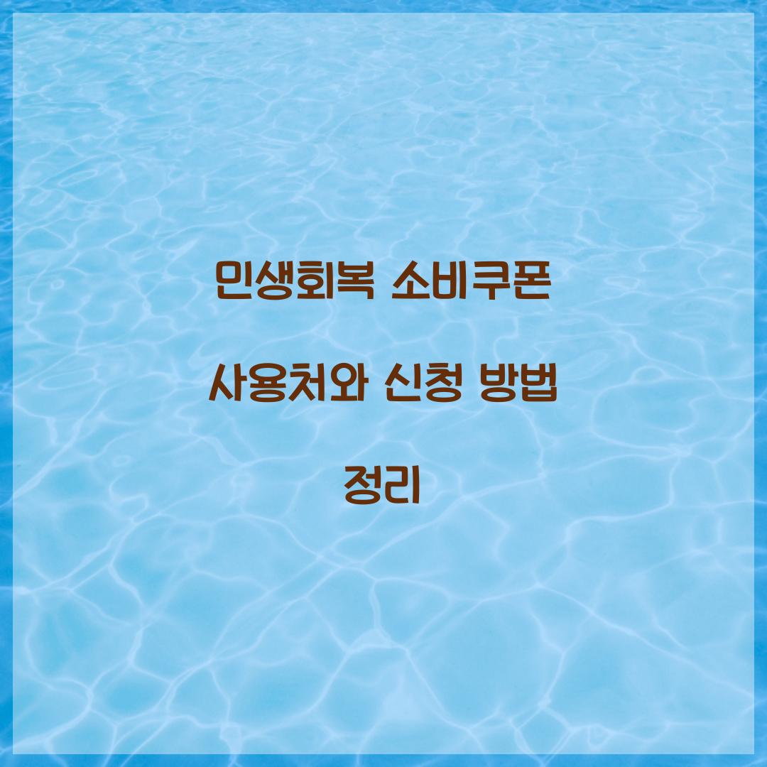 민생회복 소비쿠폰
