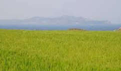 가파도 배시간표