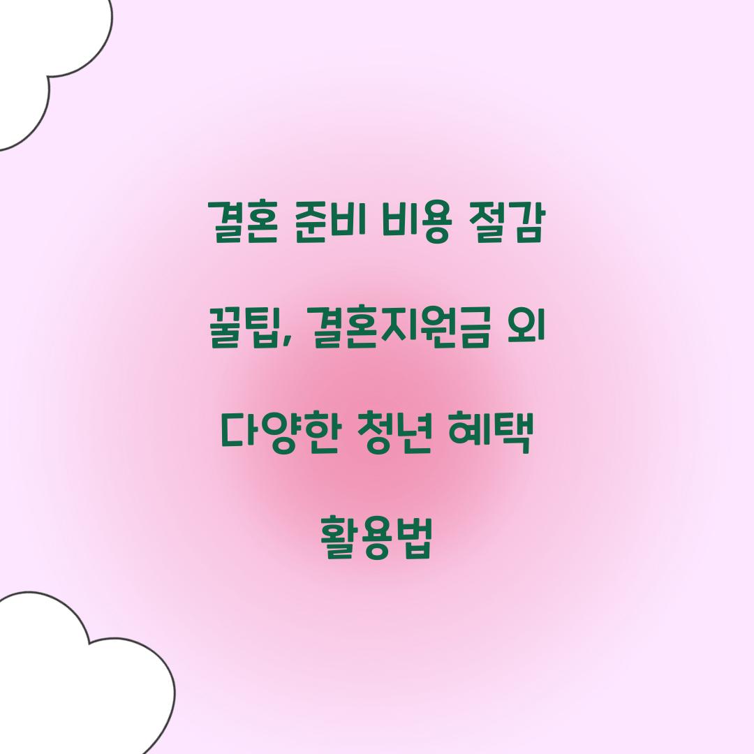 결혼 준비 비용 절감 꿀팁: 결혼지원금 외 다양한 청년 혜택 활용법