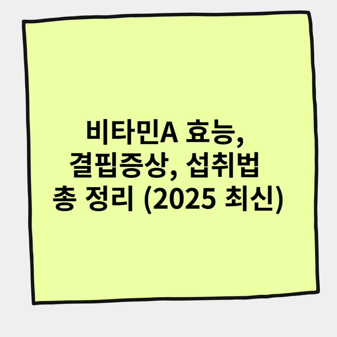 비타민A 효능, 결핍증상, 섭취법 총 정리 (2025 최신)