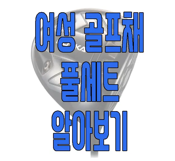 여성 골프채 추천에 관한 글 보러 가기 링크 사진