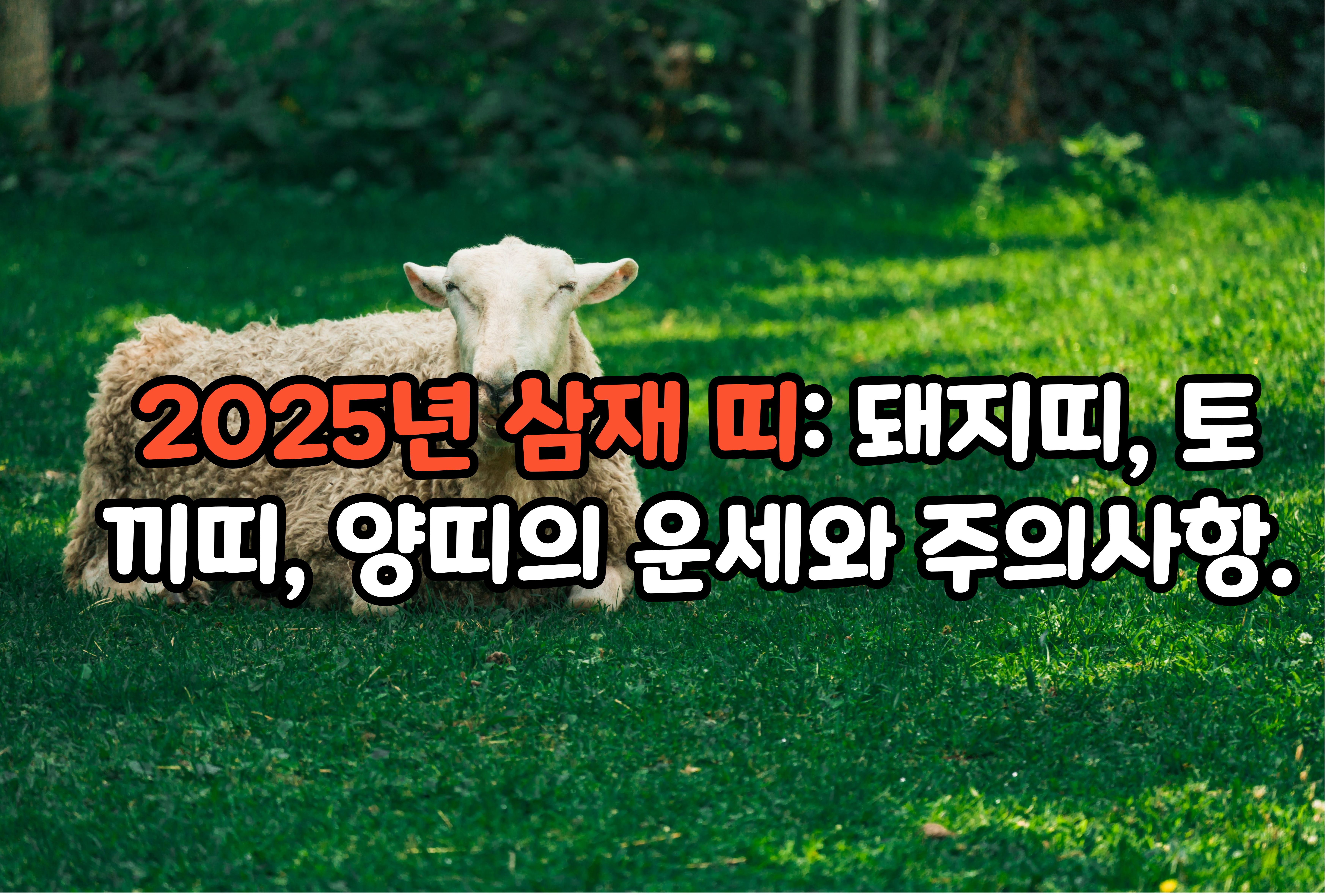 2025년 삼재 띠: 돼지띠, 토끼띠, 양띠