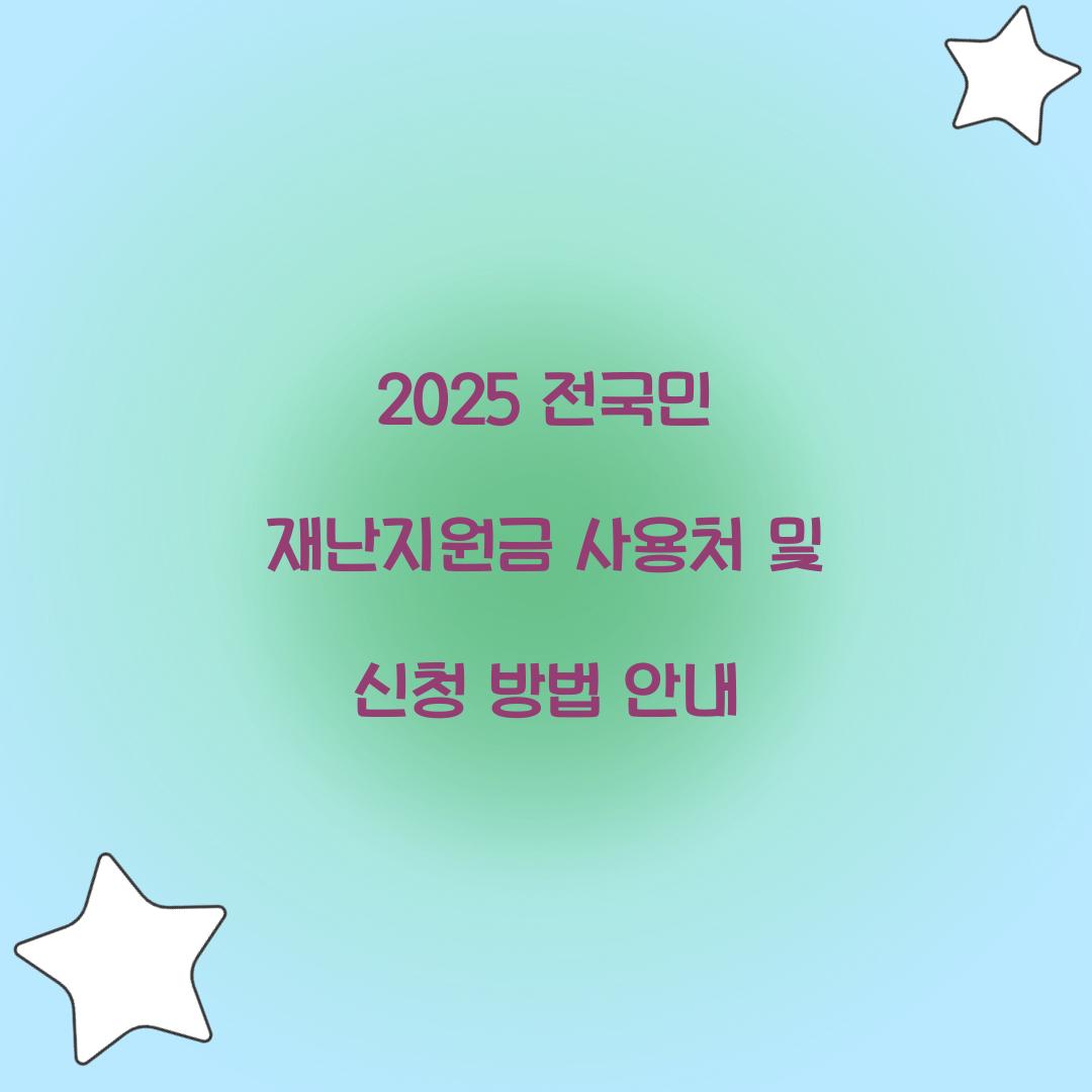 2025 전국민 재난지원금 사용처