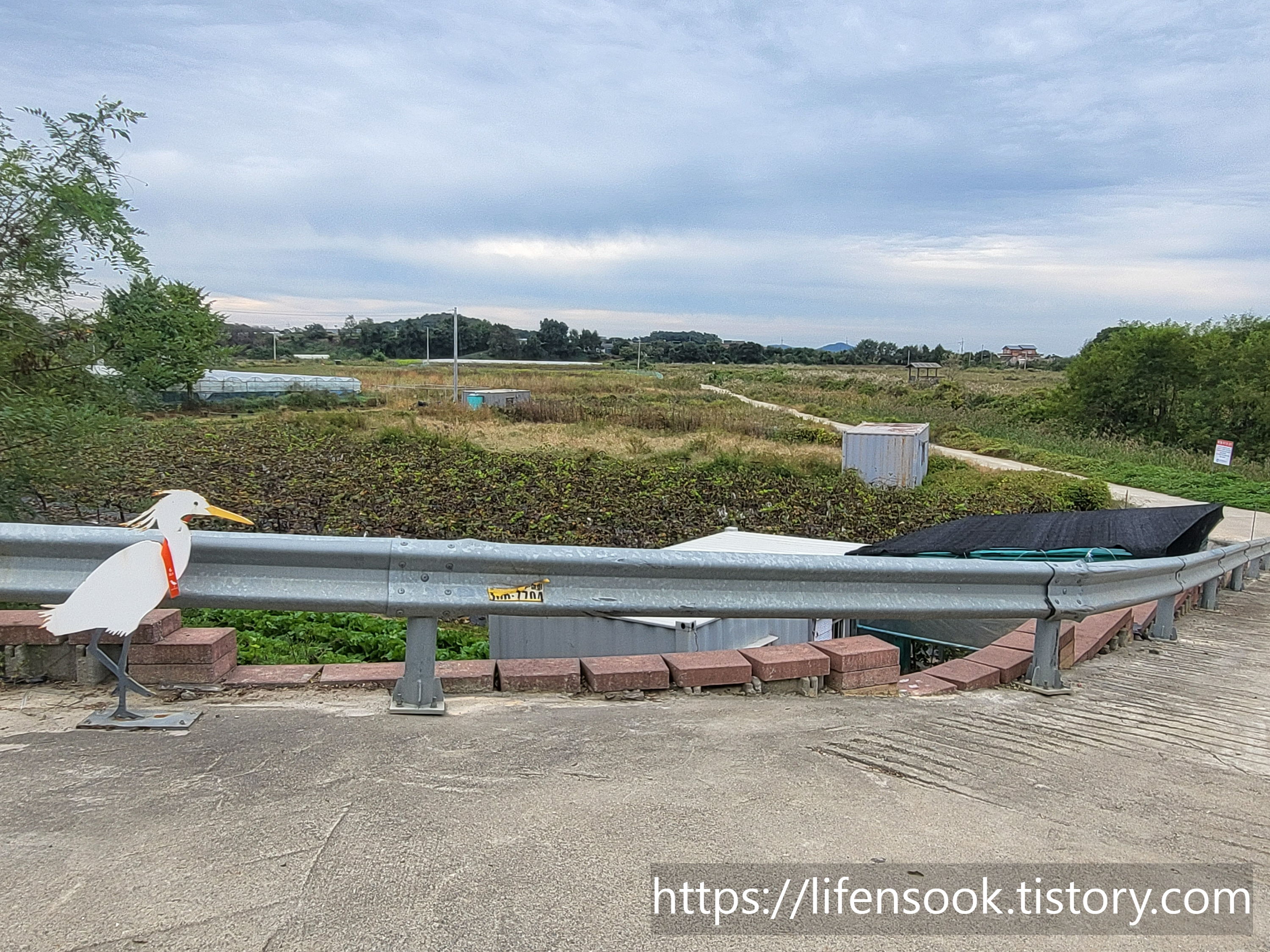 대부해솔길 6코스 노랑부리백로 4