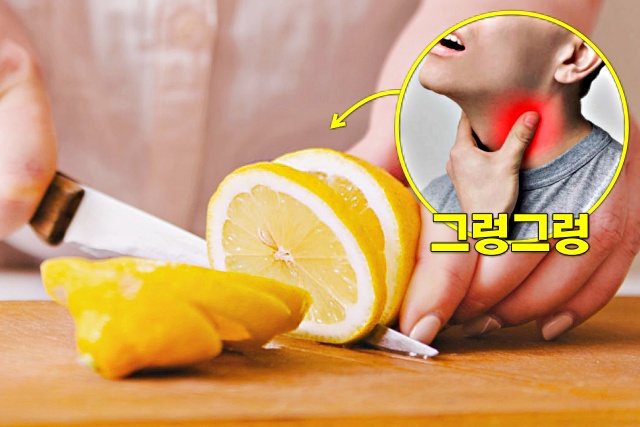가래 삭히는 음식 레몬 효능, 가래 없애는 방법, 건강 팁줌 매일꿀정보