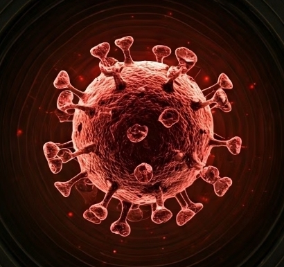 니파바이러스 증상