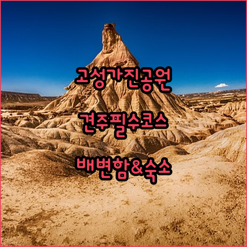 고성 가진해맞이공원 반려견 여행 기획..