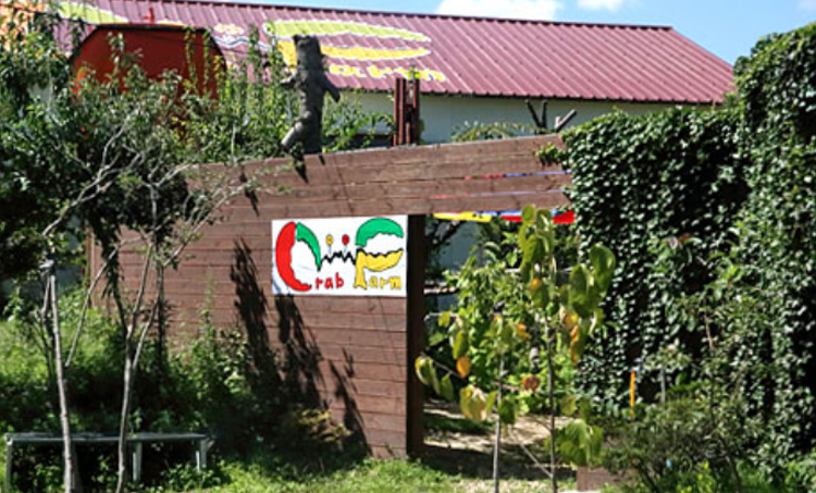 속초 테라크랩팜