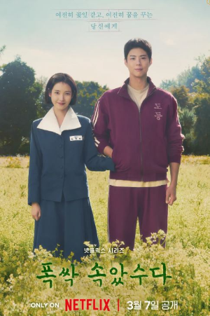 폭싹 속았수다 포스터