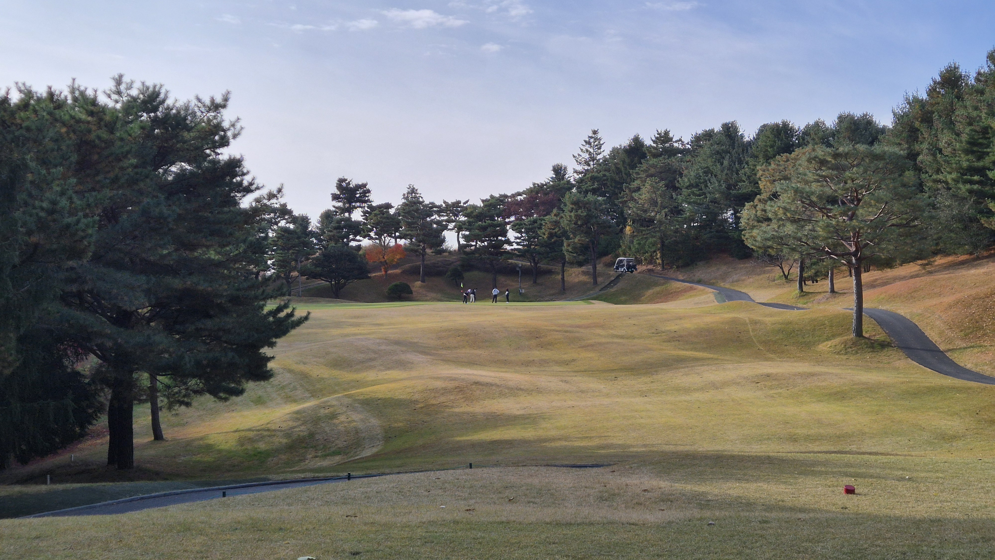 세종에머슨cc 밸리코스 사진 및 공략 정보