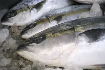 모슬포 대방어 가격 &amp;#44; 효능과 영양성분