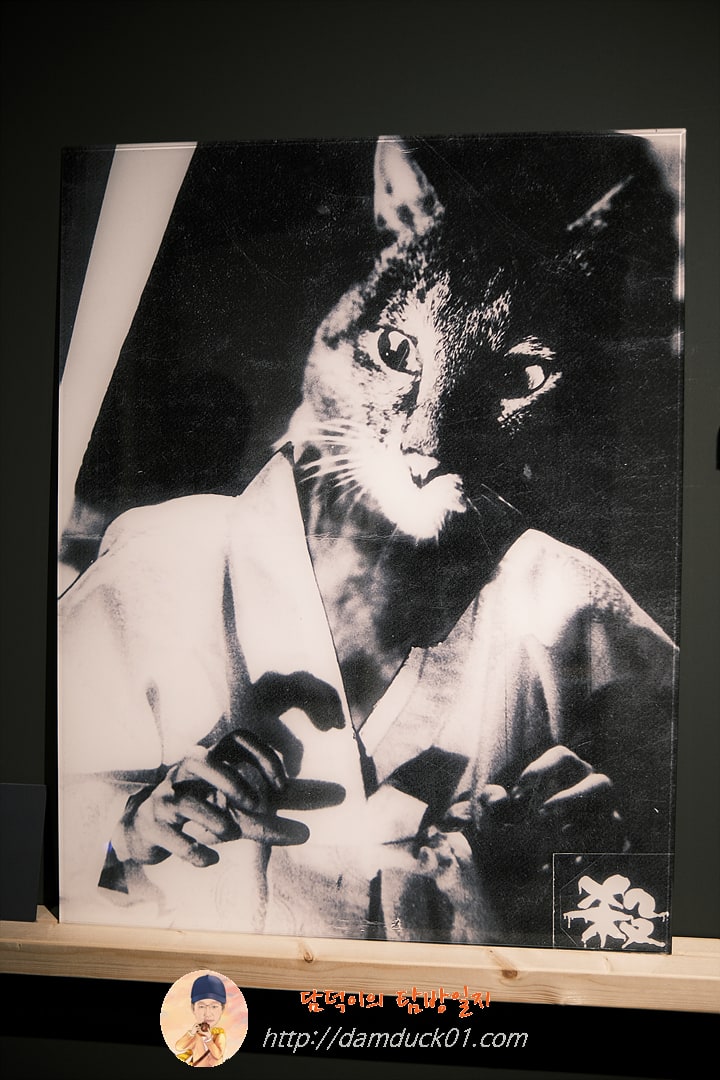 귀엽고 요망한 고양이