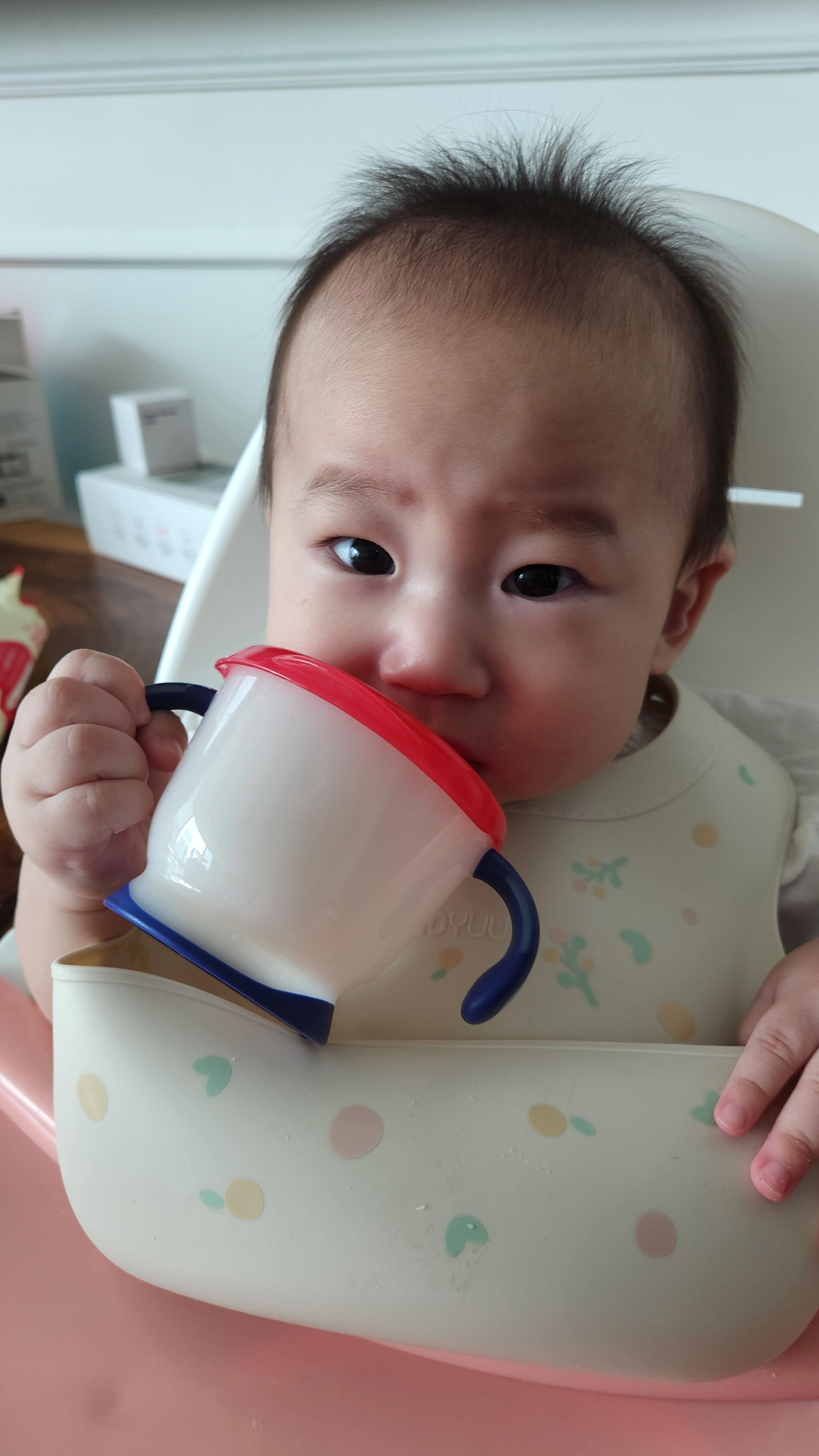 이유식 식기 브랜드 소개 및 추천