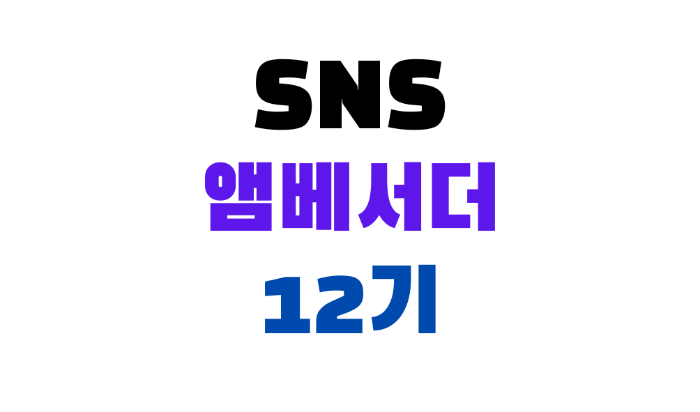 현대차 SNS 앰배서더 H스타일리스트 12기 모집