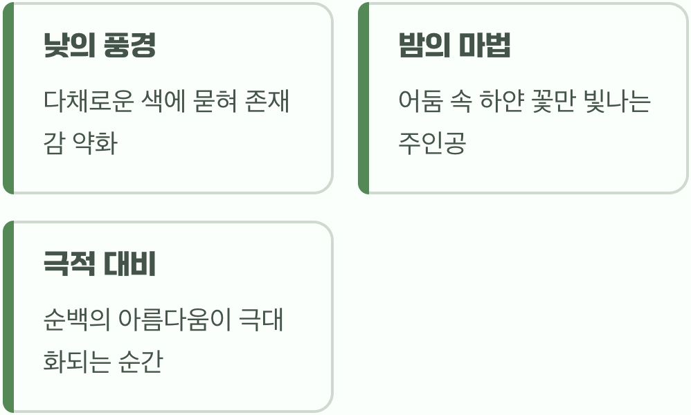 어둠이 만든 가장 완벽한 무대
