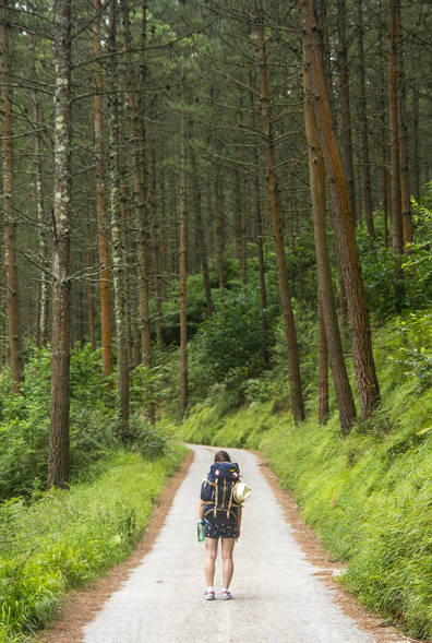 강원도 트레킹 코스 총정리 관련 사진