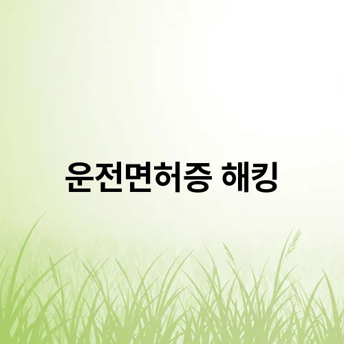 운전면허증 해킹