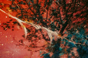 실험주의의 조향