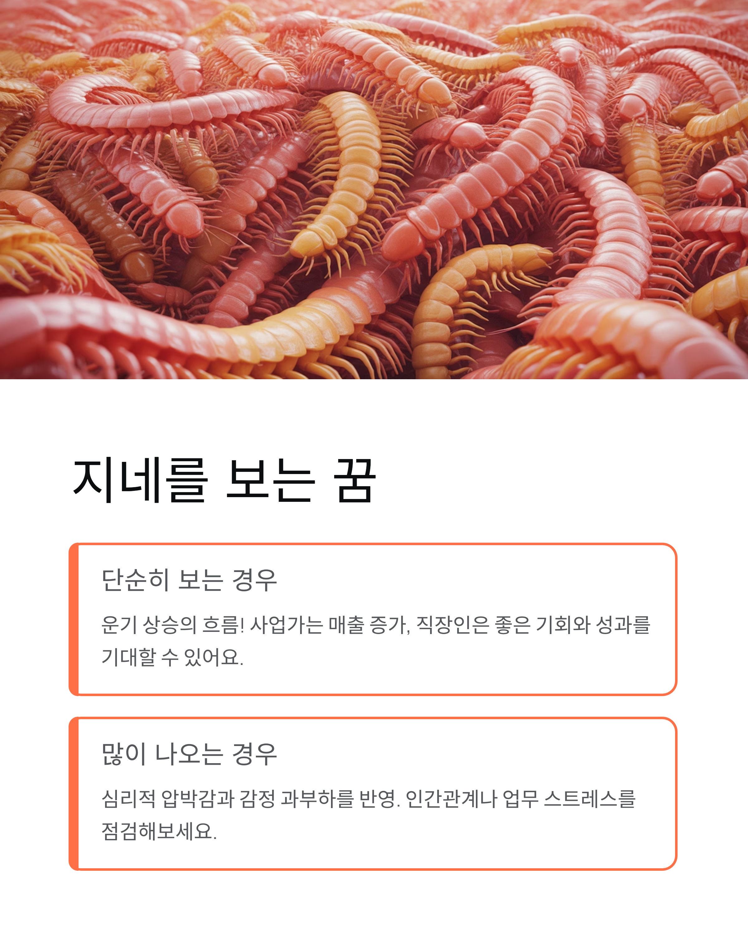 지네꿈 해몽 재물운부터 경고까지 한 번에 정리