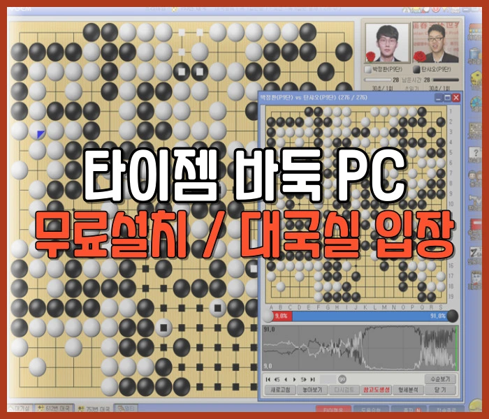 타이젬 바둑