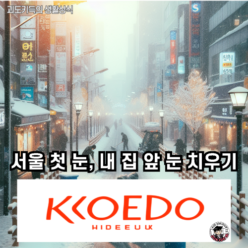 서울-첫-눈-눈-치우기-사진