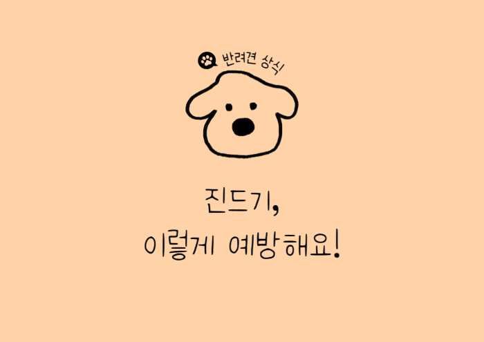 강아지 진드기 종류, 진드기 예방법, 진드기 모양, 진드기 증상