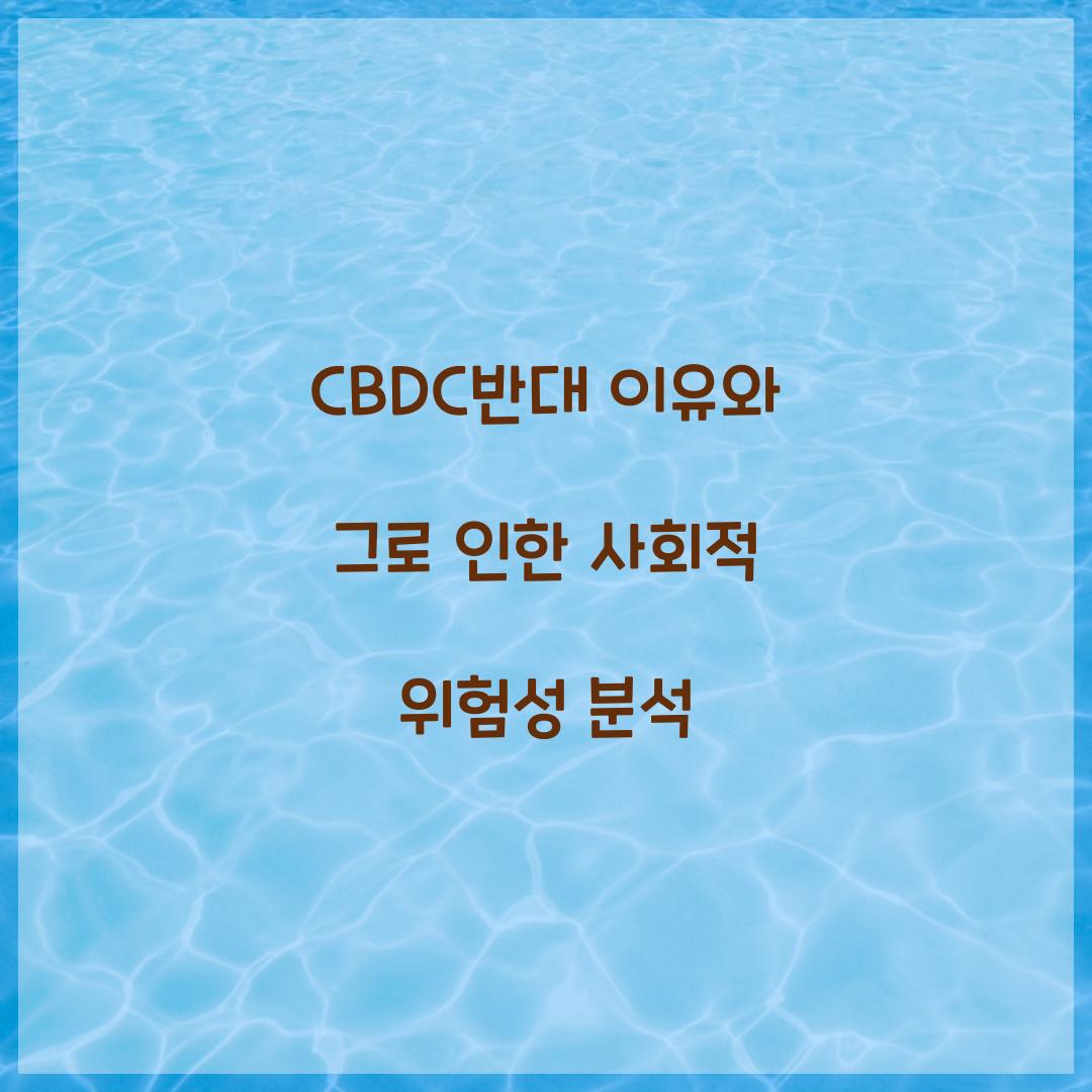 CBDC반대