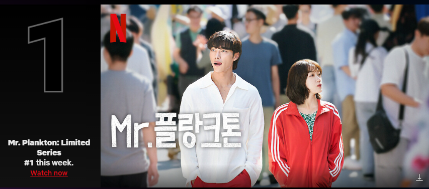 넷플릭스 순위 6