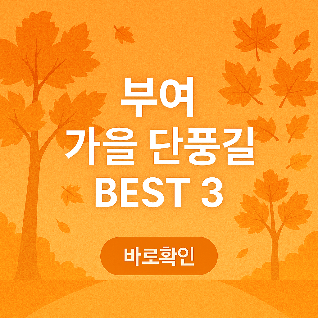 부여 가을 단풍길