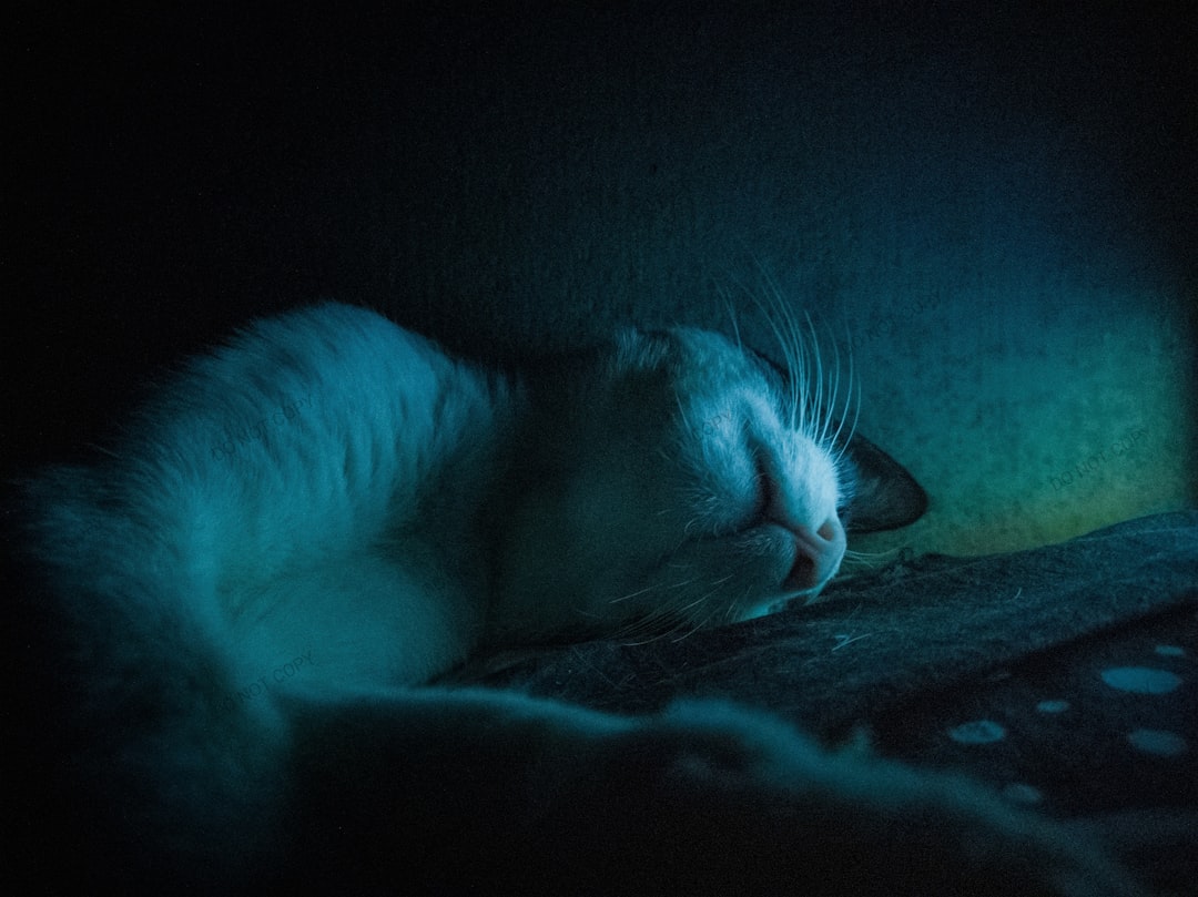 Sleep.