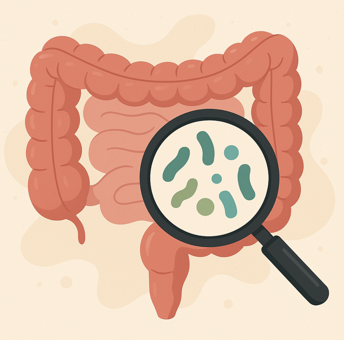 장내환경을 잘 살피는 이미지
