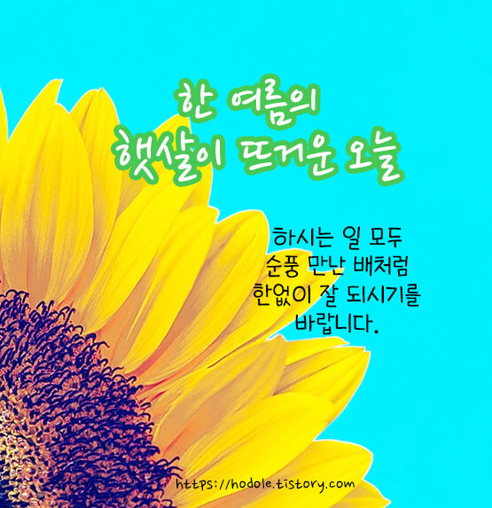 예쁜이미지