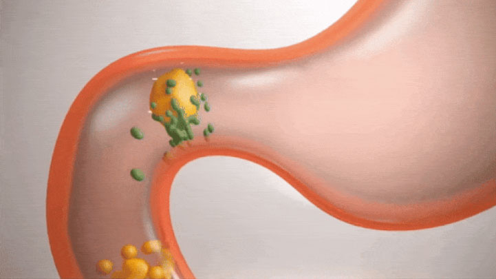 씨코랩 씨코핏 후기, 효과, 가격, 씨코다이어트