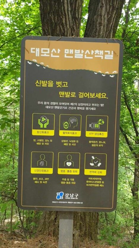 어씽과 맨발걷기
